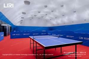 Table Tennis Inflatable Air Dome 3