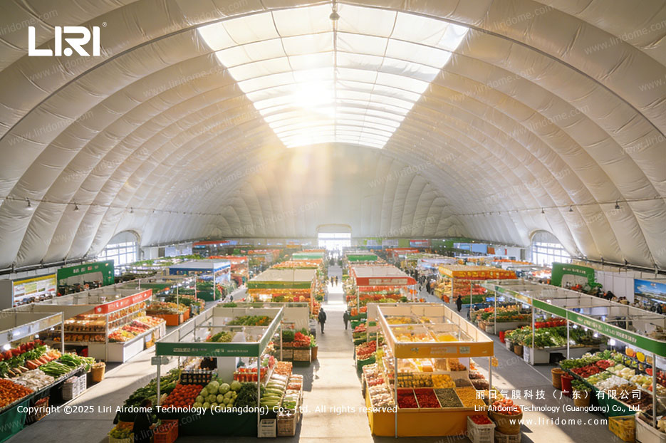 Wholesale fruit and vegetable market under a long-span air dome structure